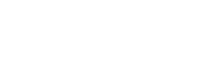 Guide IA Pro